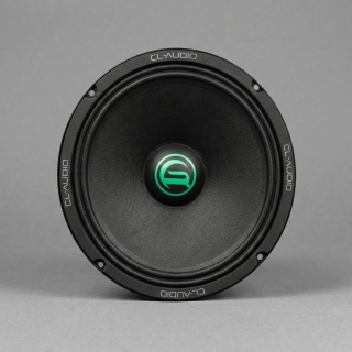 CL Audio CLA M250 - Coppia Woofer SPL Alta Efficienza 25cm (10") 500W